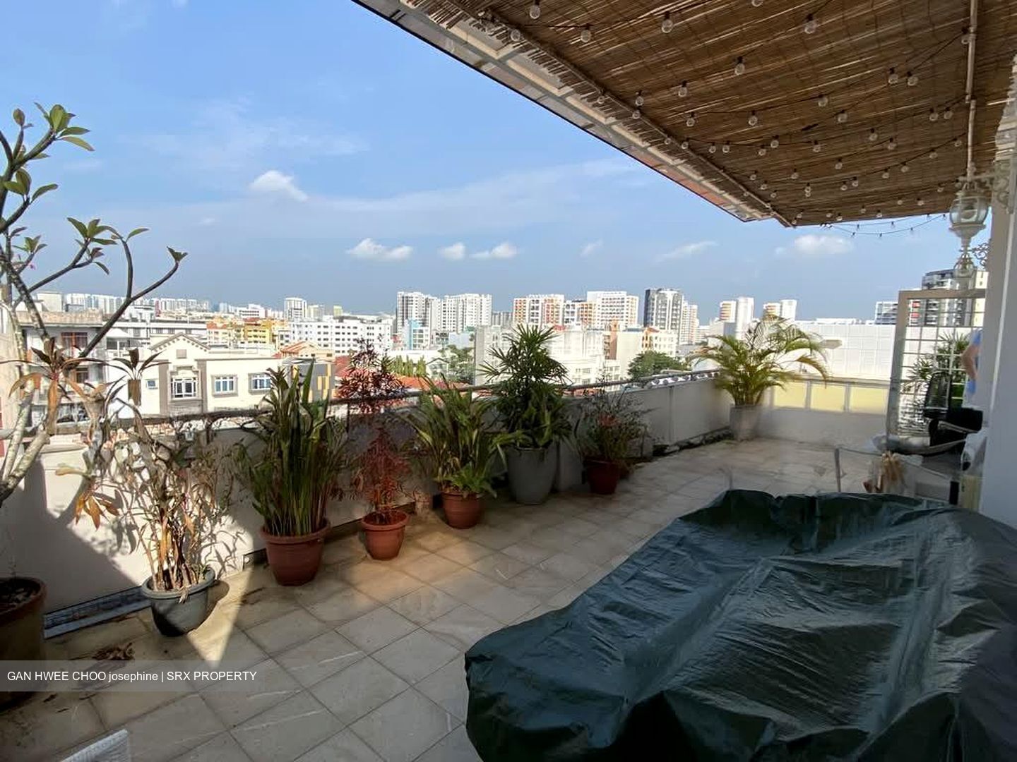 Evergreen View (D14), Apartment #549142881
